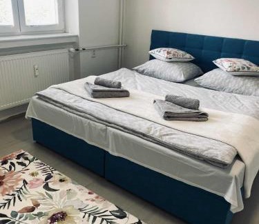 Hradec Kralove Apartment | Velký byt se dvěma ložnicemi, zahrada, Wifi zdarma