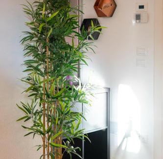 Savignano sul Rubicone Apartment | Vera Home