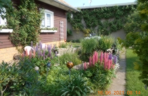 Dankerode Apartment | Vermiete Sehr Schönes Apartment/ferienwohnung in Dankerode im Harz