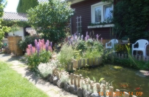 Dankerode Apartment | Vermiete Sehr Schönes Apartment/ferienwohnung in Dankerode im Harz