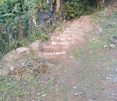 Le Lorrain Apartment | VERTCALM