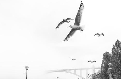 Sao Pedro da Afurada House | Vibrant Host Solutions-Maria Da Afurada