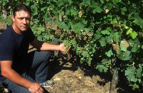 Belves-de-Castillon House | Vignobles Cardoso