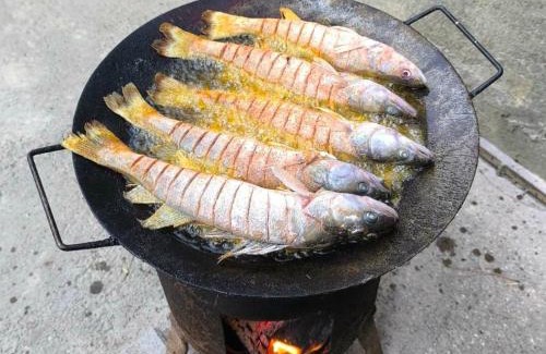 Petrovaradin House | Vikendica DUNAV