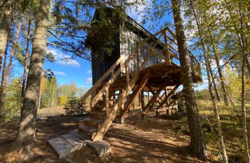 Pedvale House | Viking house in the tree! Jacuzzi, Sauna,apkure!