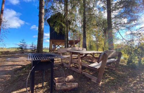 Pedvale House | Viking house in the tree! Jacuzzi, Sauna,apkure!