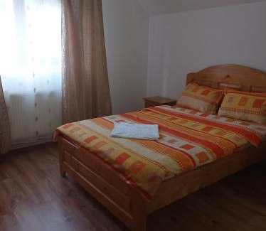 Ciocanesti House | Vila Bucovina