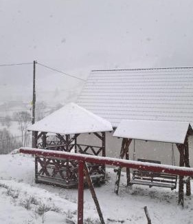 Ciocanesti House | Vila Bucovina