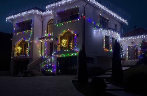 Rucar Villa | Vila Daria 3