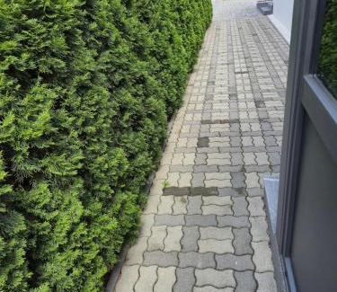 Center Apartment | Vila DINA