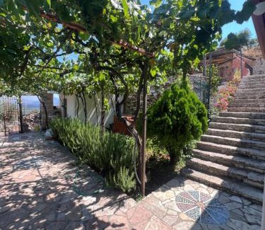 Qafe e Gjashtes Apartment | Vila Metushi