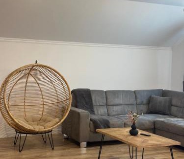 Oradea Apartment | Vila Oasis