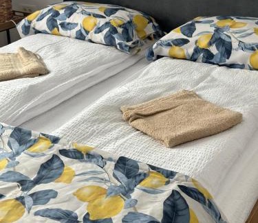 Oradea Apartment | Vila Oasis