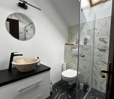 Oradea Apartment | Vila Oasis