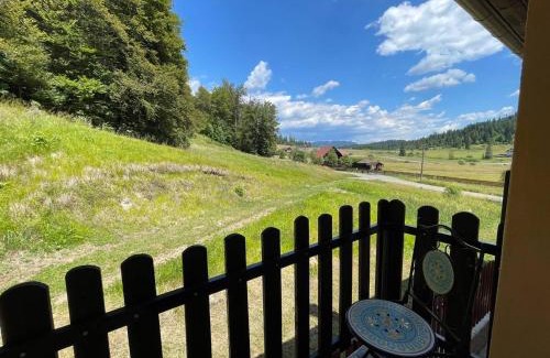 Borsec House | Vila Panova