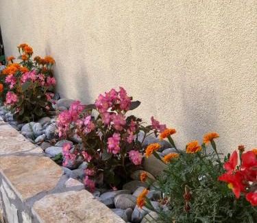 Danilovgrad Bed & Breakfast | Vila Razic