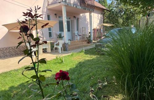 Salcia House | Vila Siminica