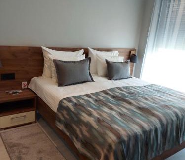 Vrdnik Apartment | Vila Slap