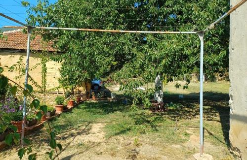 Demir Hisar House | Vila Stojna