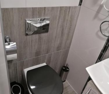 Sabac Hotel | Vila Violeta