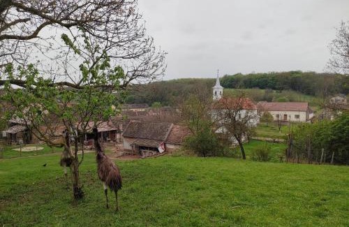 Kisjakabfalva House | Villány Outback