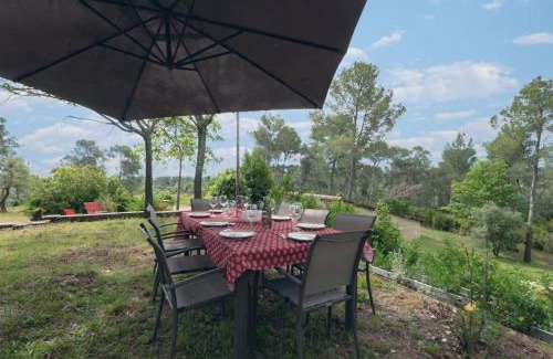 Saint-Clement-de-Riviere House | Villa 13 personnes - 1 hectare de parc naturel - piscine