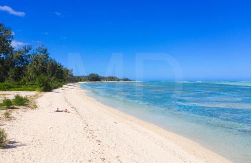 Surinam Villa | Villa Antema