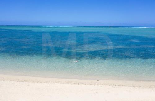 Surinam Villa | Villa Antema