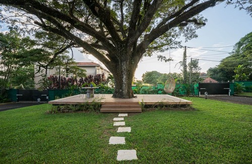 Fort-de-France Bed & Breakfast | VILLA APOLLINE/LITTLE SUITE 1/Creole refinement