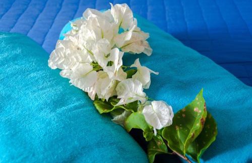 Trou d'Eau Douce Villa | Villa Ariane