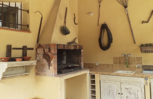 Cotignac Villa | Villa at the foot of Grand Bessillon with a view of the olive trees in absolute calm.