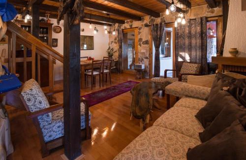 Selnica Villa | Villa Brallissima