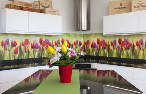 Vigliano d'Asti House | Villa Bricco Astiani