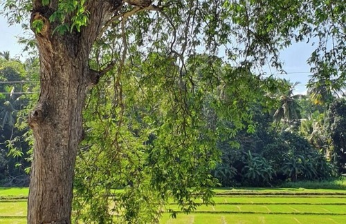 Dickwella Villa | Villa by Tamarind Shade