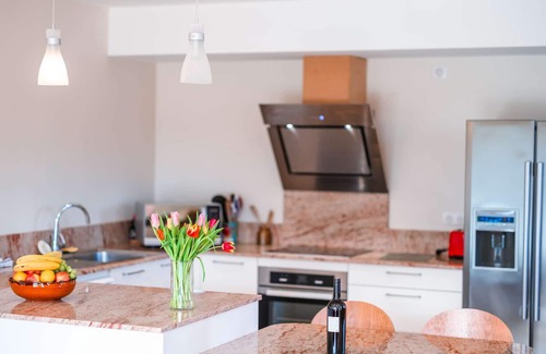 Castelnau-de-Montmiral Villa | Villa Castelnau - air conditioning & heated swimming pool in a magnificent estate - XI