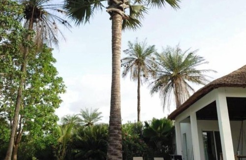 Cap Skirring Villa | Villa Cap Ouest Piscine Grand Jardin à 2 Pas de L'océan