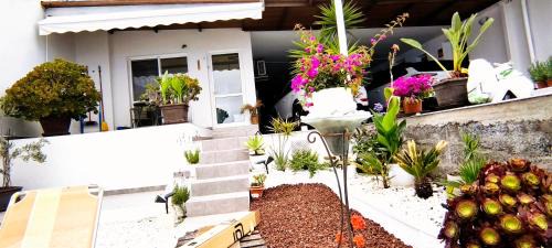 Chio Apartment | Villa con increíbles vistas al océano y la Gomera