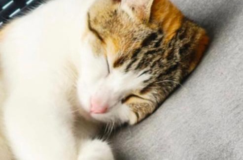 Chio Apartment | Villa con increíbles vistas al océano y la Gomera