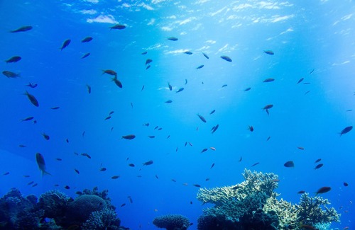 Eilat Villa | VILLA DIAMOND * Jasmin A. Eilat ISRAEL