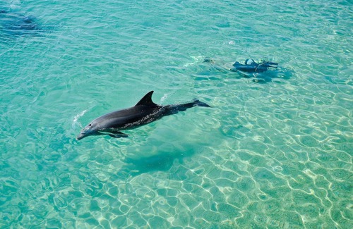 Eilat Villa | VILLA DIAMOND * Jasmin A. Eilat ISRAEL