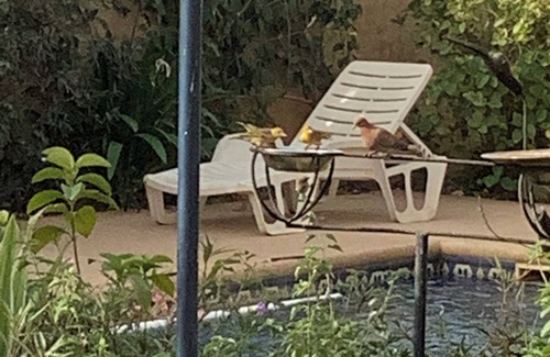 Popenguine Villa | Villa directement les pieds dans l'océan