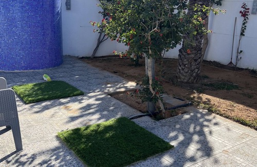 Triffa House | Villa Djerba midoun tourist area