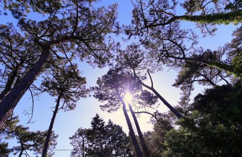 Labenne-Ocean House | Villa Dune & Océan