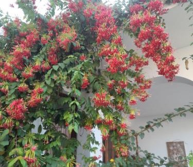 Mbezi Beach House | Villa Emmanuel