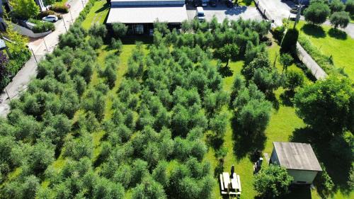 Raffa Villa | Villa Fiorita a Puegnago - BGL