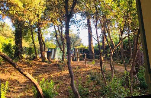 L'Herbe House | Villa Framboise