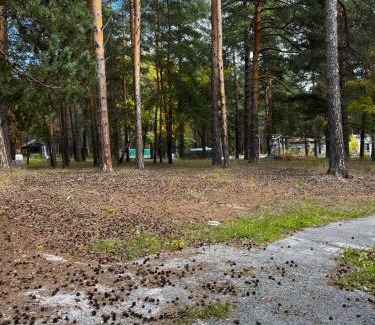 Didi Ateni Villa | Villa