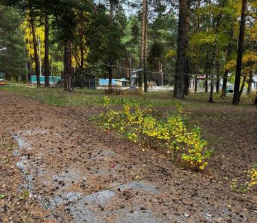 Didi Ateni Villa | Villa