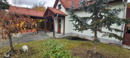 Karlovy Vary Villa | Villa Gejzir 16