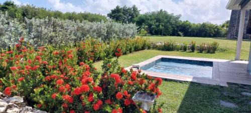 Saint-Louis Villa | Villa Gligli